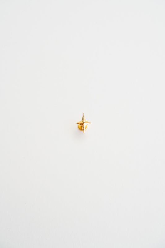 TWINS-Star