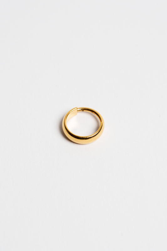 Classic Titan Hoop Earring