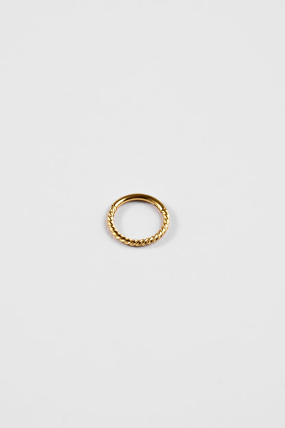 Twisted Elegance Hoop